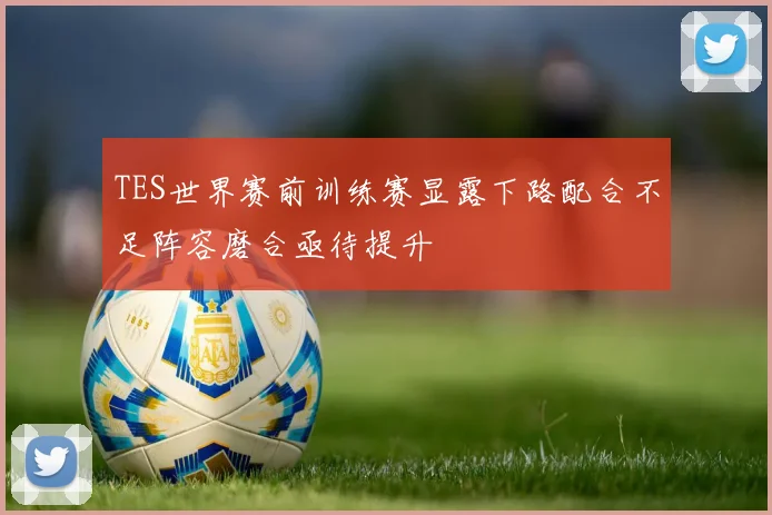 TES世界赛前训练赛显露下路配合不足阵容磨合亟待提升